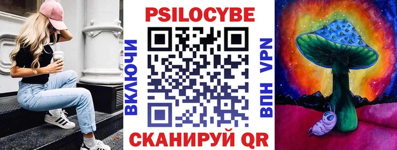 Купить  Мензелинск  Галлюциногенные грибы Psilocybine cubensis 